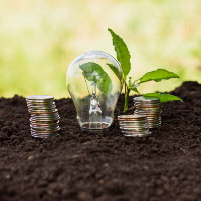 A Nova Indústria Verde e o Futuro da Economia Sustentável