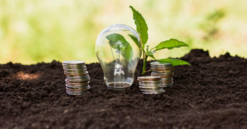 A Nova Indústria Verde e o Futuro da Economia Sustentável