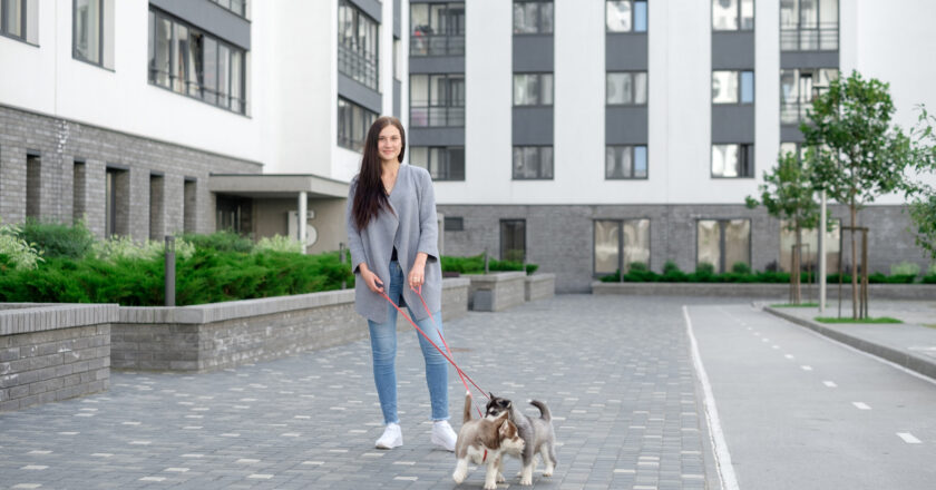 Animais em Condomínios no Maranhão: o que o síndico precisa saber para evitar processos e garantir a convivência comunitária