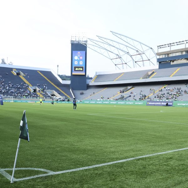 Palmeiras e Fluminense se enfrentam no Brasileirão: saiba onde assistir, horário e times escalados