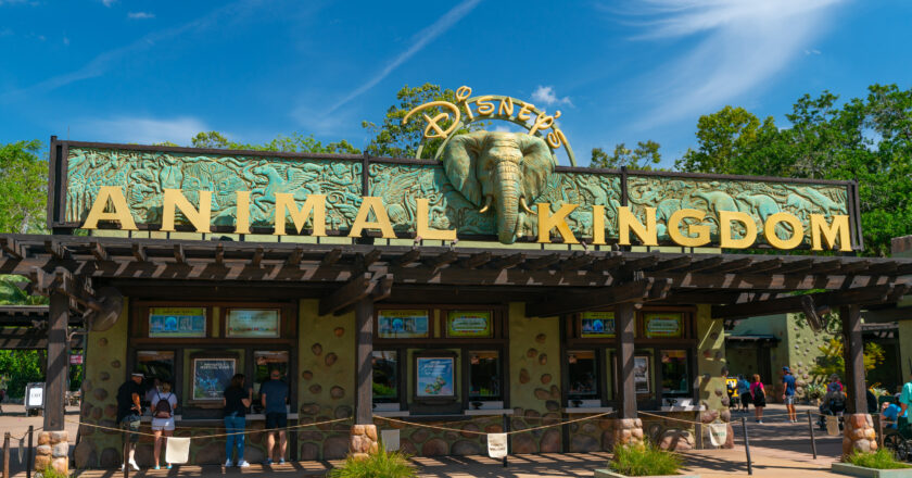 “Disney encerra era de 28 anos do Animal Kingdom, surpreendendo fãs”