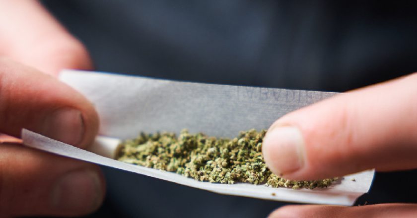 Trump pode mudar a classificação da maconha nos Estados Unidos, revela portal.