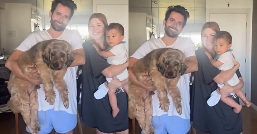Dani Calabresa comemora o primeiro aniversário do filho Bernardo com uma mensagem especial