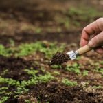 Fertilizantes inteligentes: a visão de Cauê Lopes Martins sobre a nova geração de insumos agrícolas