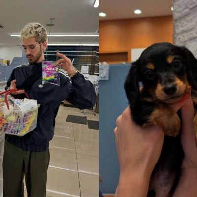 João Guilherme adota cachorrinha e a batiza de Maria Joana: “Nova companheira”