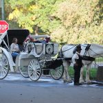 Nova York se prepara para proibir carruagens de cavalo após um século e meio de história