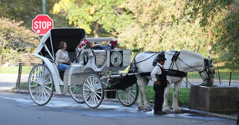 Nova York se prepara para proibir carruagens de cavalo após um século e meio de história